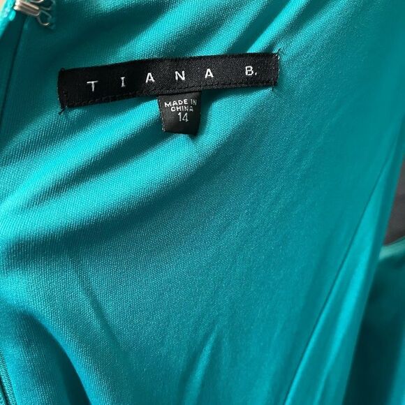 Lovely New Year’s Eve Tiana B. Pleated Dress - Picture 4 of 16